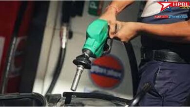 New Prices for Petrol and Diesel Are Announced: View Rates in Your City on November 19