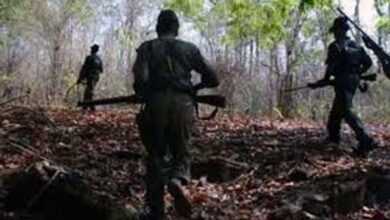 10 Maoists Killed In Encounter With Security Forces In Chhattisgarh's Sukma