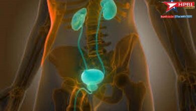 Doctor Warns Men Over 50 With An Enlarged Prostate: You May Be At Risk Of Kidney Failure