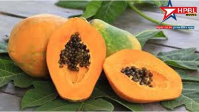 Five Incredible Health Advantages of Eating Riped Papaya in the Morning for an Empty Stomach