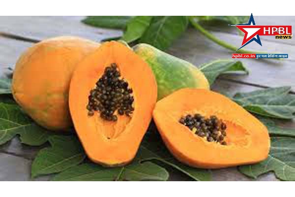 Five Incredible Health Advantages of Eating Riped Papaya in the Morning for an Empty Stomach