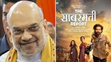 "The Sabarmati Report": Amit Shah Applauds Vikrant Massey's 2002 Godhra Tragedy Film Following PM Modi