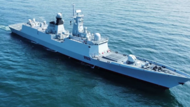 Why Did Pakistan Name Its Navy Ship After Tipu Sultan? Historian's Eye-Opening Answer