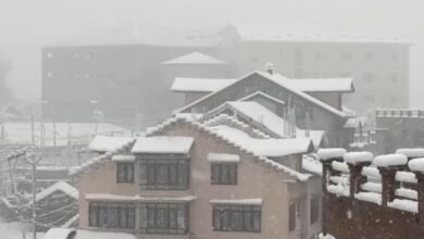Srinagar Airport Cancels All Flights Amid Heavy Snowfall In Kashmir; Airlines Issue Advisory