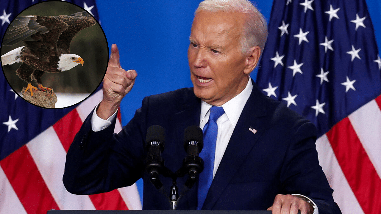 Joe Biden makes bald eagle the United States' official bird; signs 50 bills into law