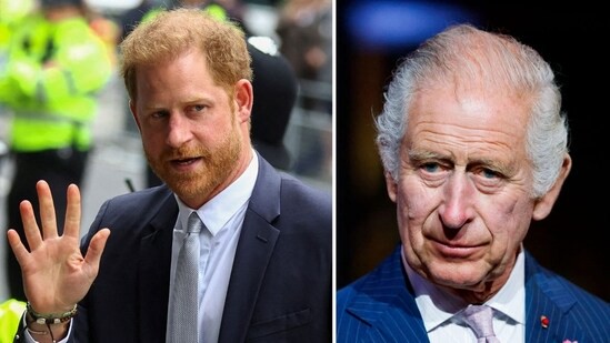 Prince Harry urged to 'extend olive branch' to King Charles amid concerns for Archie and Lilibet's safety in UK