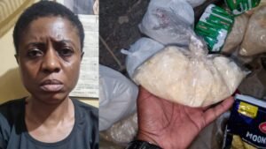 Bengaluru police seize drugs worth Rs 24 crore, arrest foreign woman peddler