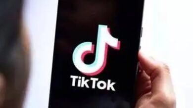TikTok Requests US Supreme Court to Block Ban on its US Operations