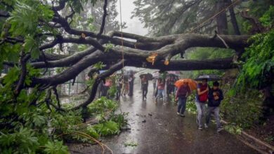 Cyclone Fengal weakens, unprecedented rainfall paralyses life in Pondy, TN's Villupuram affected