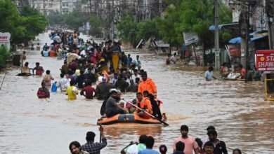 Climate Emergency Reached Tipping Point In 2024 As Extreme Weather Escalated Across India