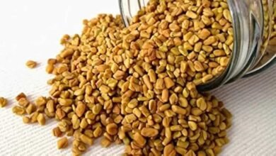 These are the amazing benefits of drinking fenugreek or its water on an empty stomach every day, it will defeat even diseases like cancer and diabetes