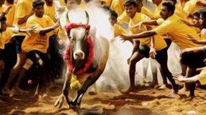 Tamil Nadu: Avaniyapuram 'Jallikattu' turns bloody as bull tamer dies after horn pierces through his chest, 46 injured