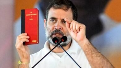 Nitish Kumar government's caste survey was to fool Bihar: Rahul Gandhi