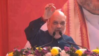 Delhi Election 2025: Kejriwal's 'Sheesh Mahal' To Be Opened For Public Viewing, Says Amit Shah At Poll Rally