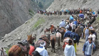 Amarnath Yatra