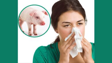 Swine Flu Spikes in India: Symptoms, Precautions, And More