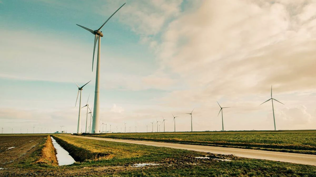 Global Electricity Review: India Overtakes Germany To Become 3rd-Largest Generator of Wind, Solar Power, Says Report