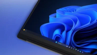 Microsoft Windows 11 Pro