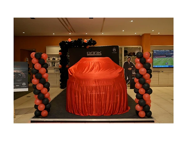 Magnus Motors