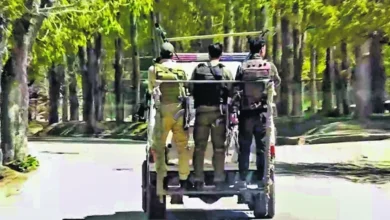 Pahalgam attack probe