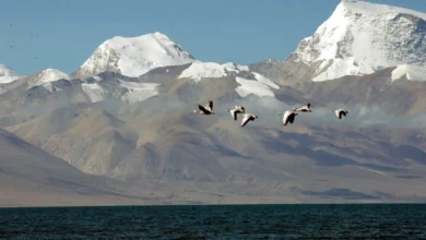 Kailash Mansarovar Yatra