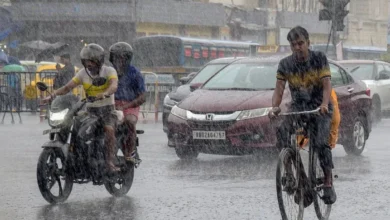 Weather Update