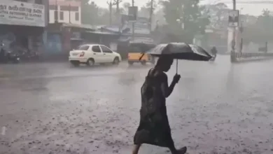 Gujarat Weather Update