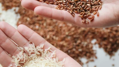 Brown rice vs white rice: Understanding the nutritional and health benefits
