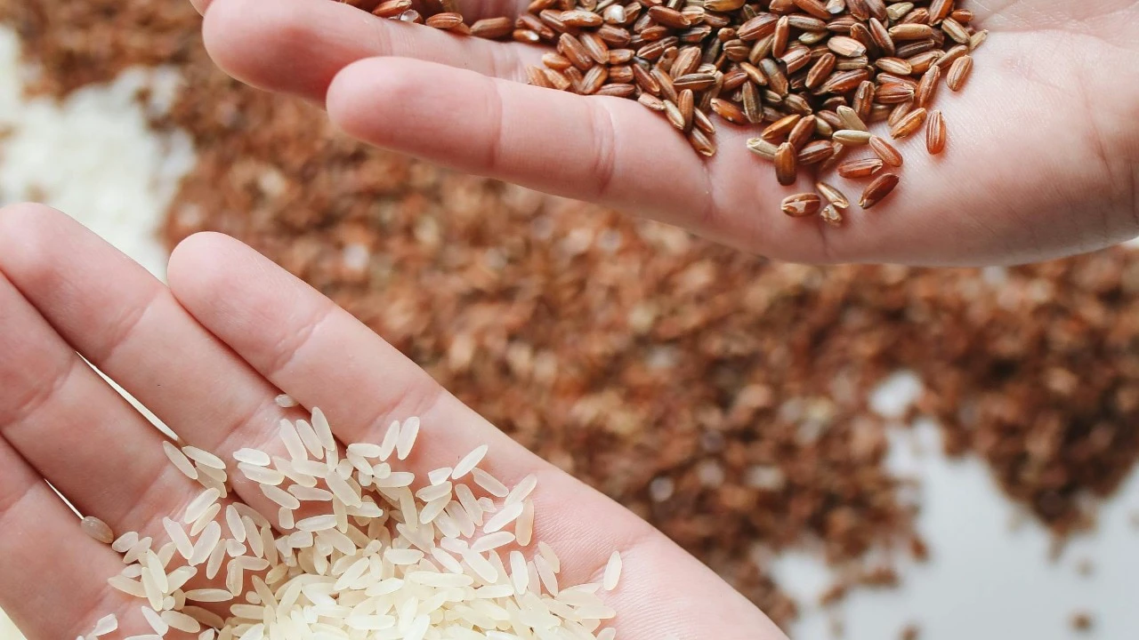 Brown rice vs white rice: Understanding the nutritional and health benefits
